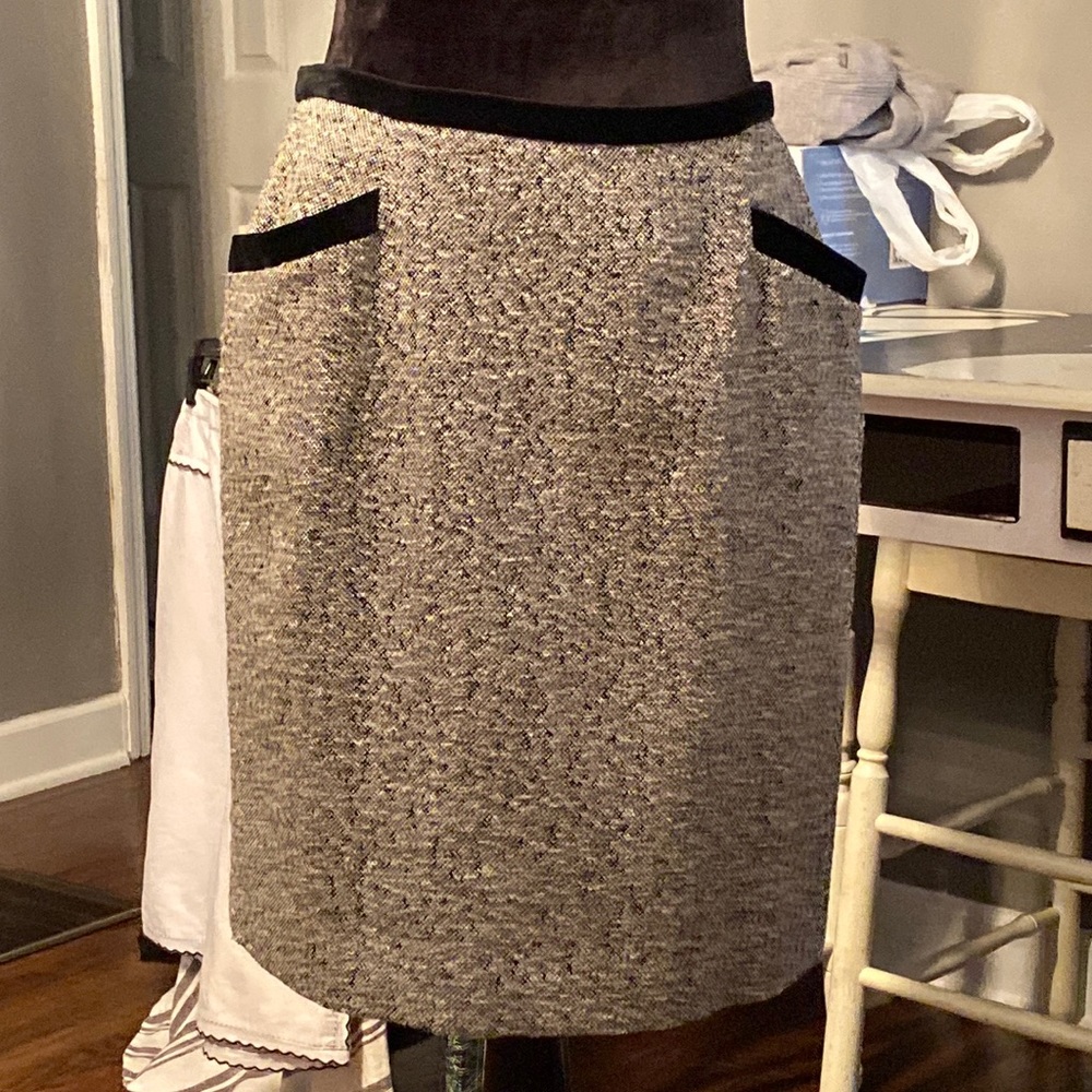 Ann Taylor Skirt